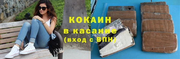 индика Касимов
