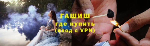 индика Касимов