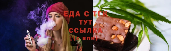 индика Касимов