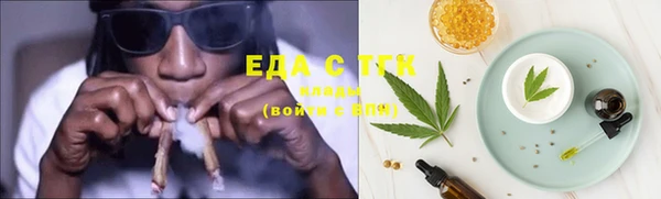 индика Касимов