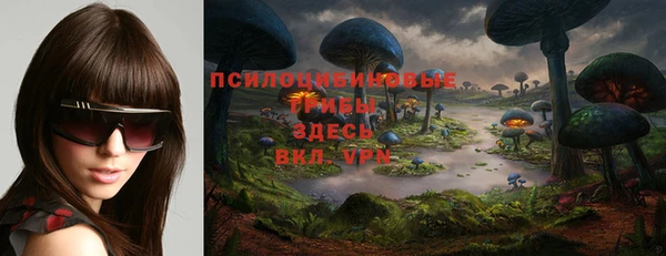 MDMA Premium VHQ Карпинск