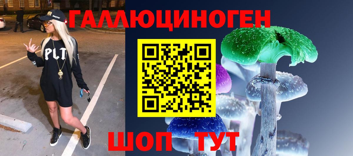 Малгобек  Галлюциногенные грибы Magic Shrooms  Вход с VPN 